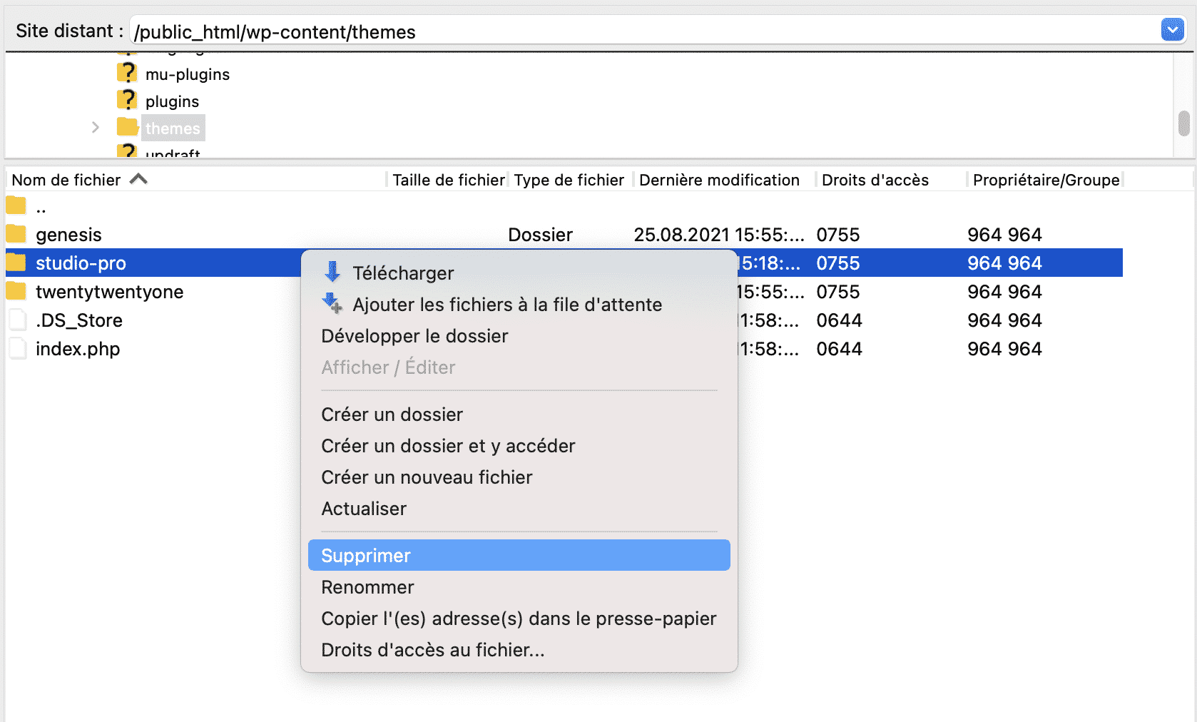 Supprimer un thème sur un FTP peut aider à résoudre une erreur 503.