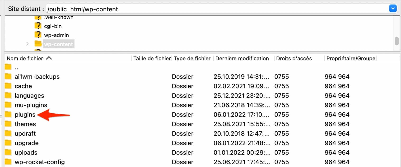 Le dossier sur un client FTP comme Filezilla.