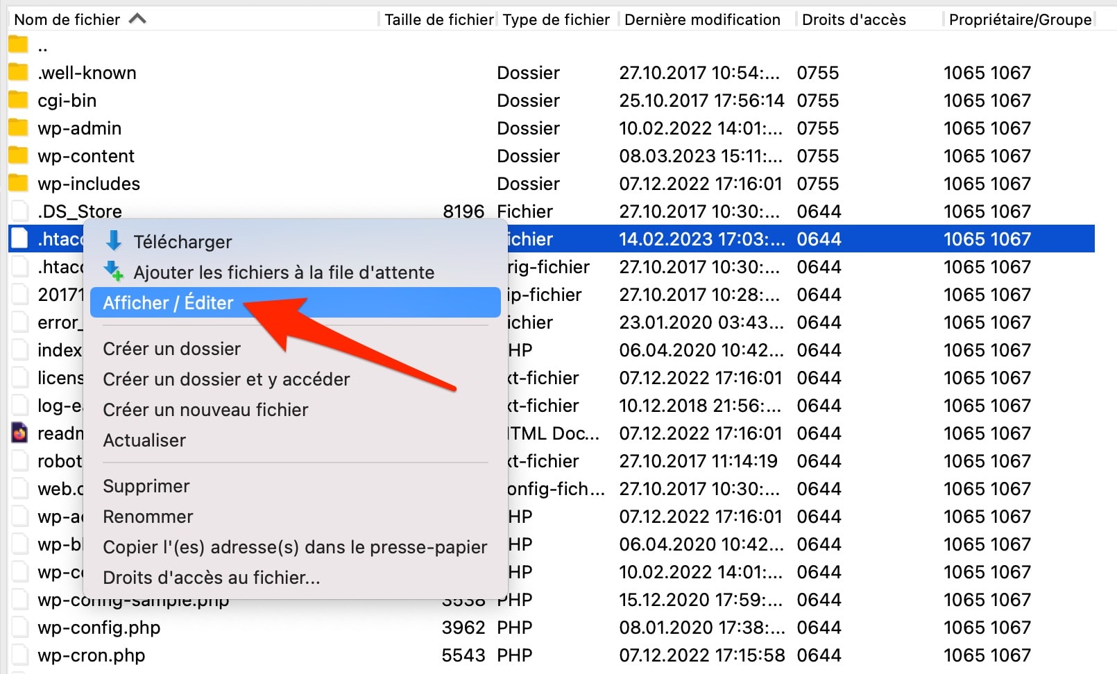 Édition d'un fichier .htaccess sur Filezilla.