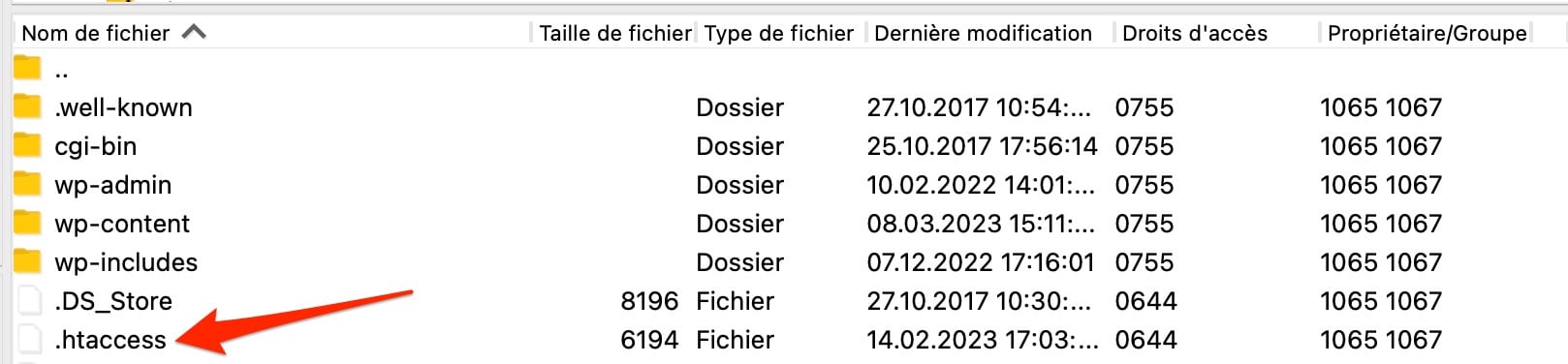 Un exemple de fichier .htaccess présent sur un client FTP.