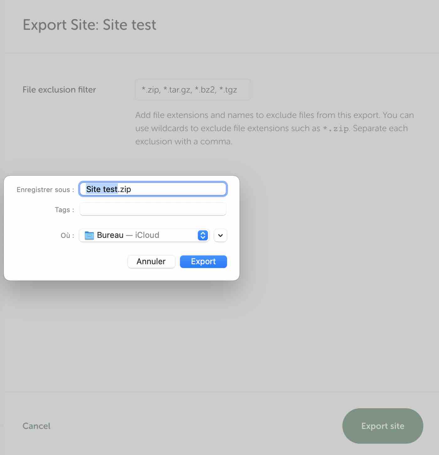Export d'un site sur Local après le backup de WordPress.