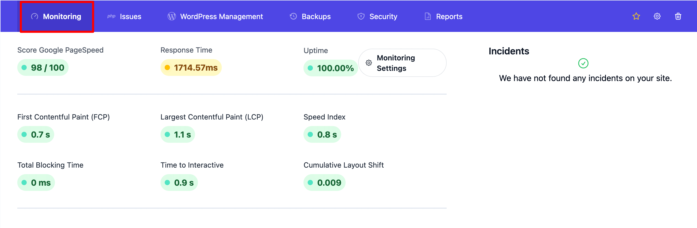 L'onglet Monitoring de WP Umbrella. 