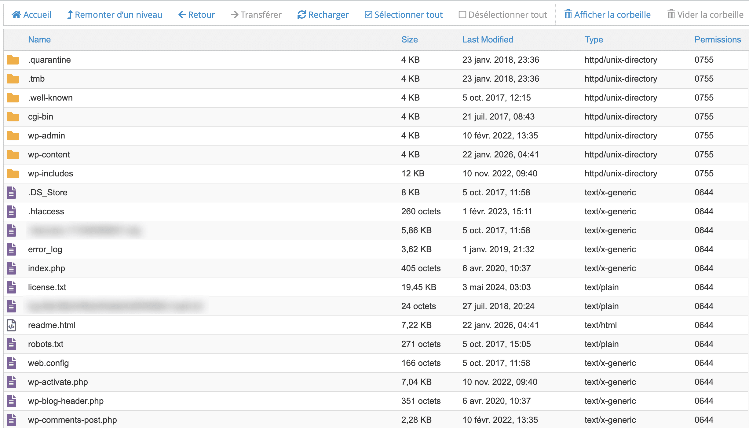 The file manager on cPanel.