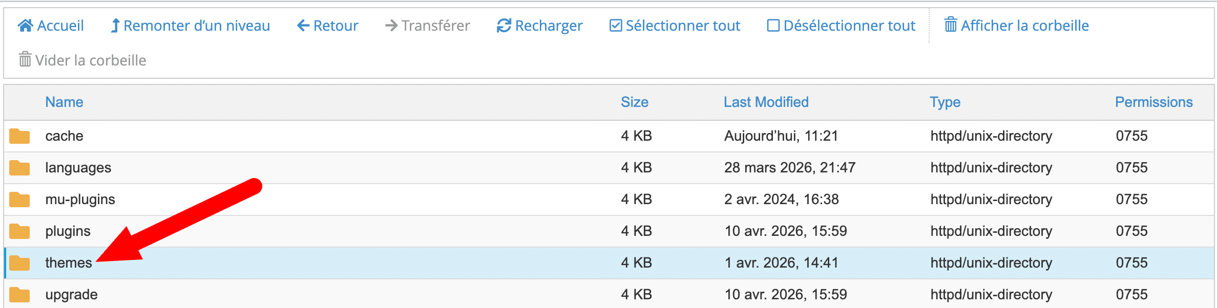 Le répertoire de thèmes sur cPanel.