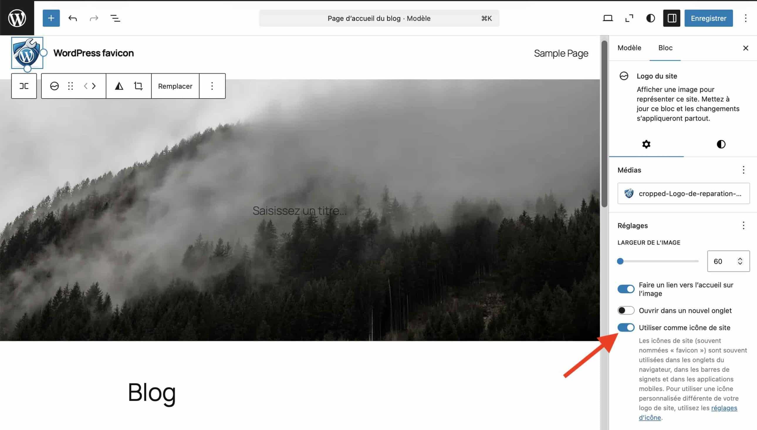 Radio button to be used as a site icon.